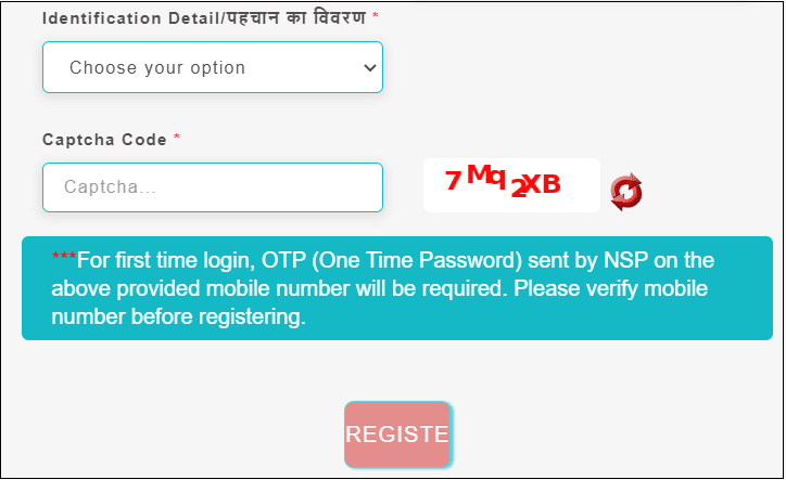 NSP portal registration