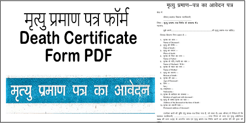 Download Death Certificate Form PDF