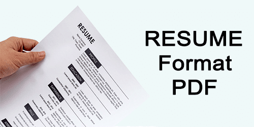 Resume form pdf